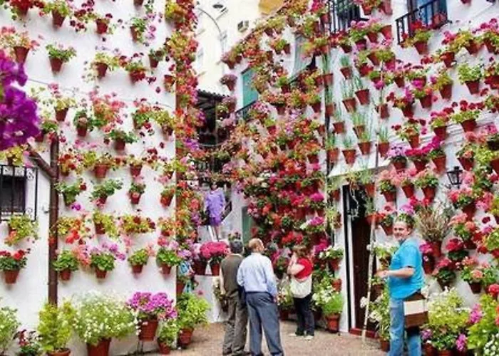 Apartamento Con Encanto En Cordoba